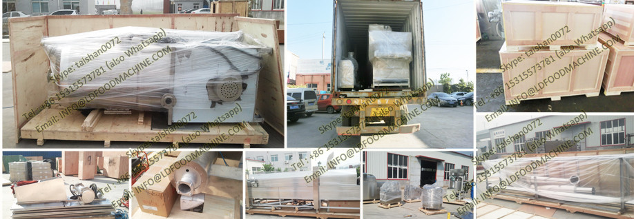 Hot sale LD fryer for vegetables and fruits machinery/fruits and vegetables dehydrationmachinerys