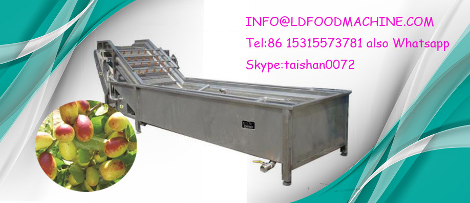 500kg/h Stainless Steel 304 carrot radish Brush washing and Peeling machinery