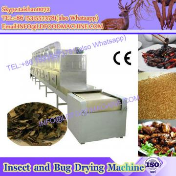 Vegetable drying processing line using Cabbage cleaner/broccoli washer/eggplant washing machine