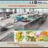Industrial stainless steel automatic potato peeling machinery/potato peeler and cutter