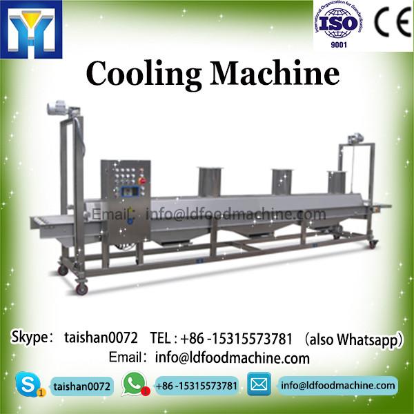 Best price fully automatic nylon tea bagpackmachinery
