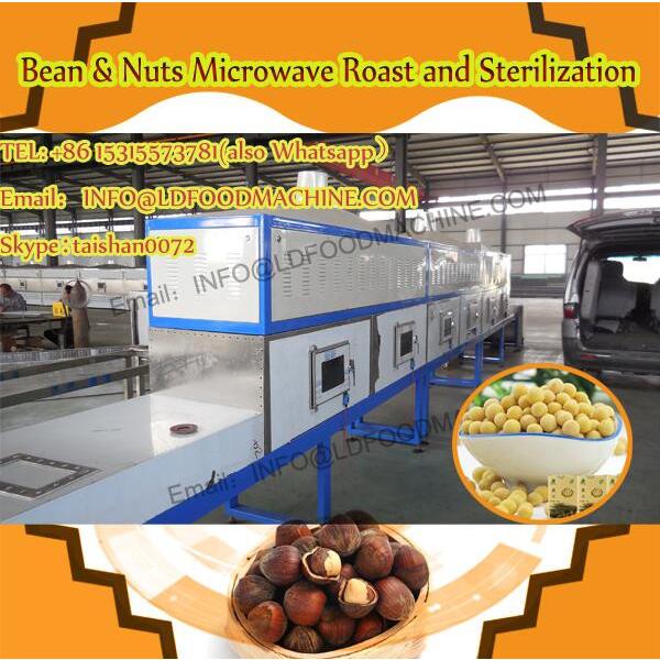 19t/h cashew nuts microwave dryer export to Morocco