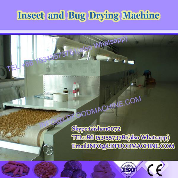 Insect dehydration equipment 50kw belt type microwave dryer machine for tenebrio drying