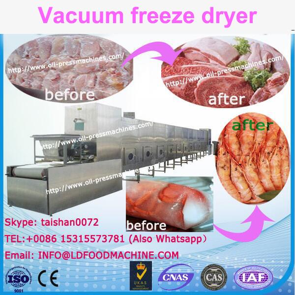 100KG Capacity LLD LLDe food freeze dryer equipment for food , fruit, milk, juice
