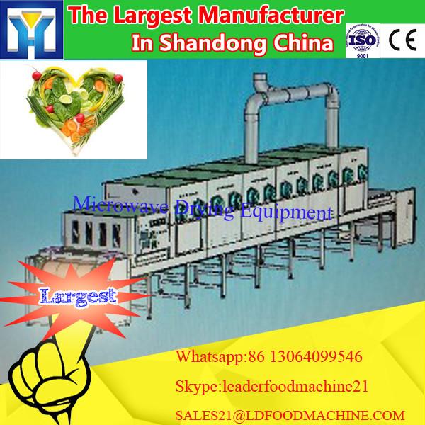 Microwave Fungus dry fungicidal insecticide Drying Equipment