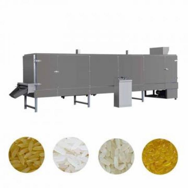 Automatic artificial rice making machine plant